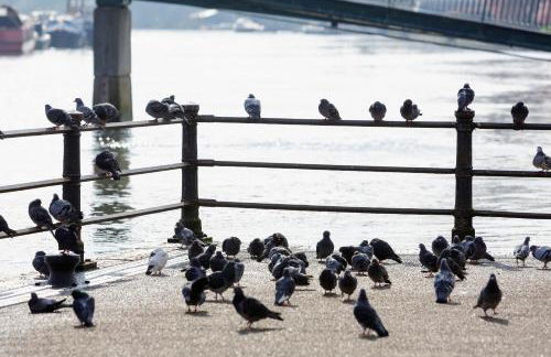 Eel Pie Boathouse - Foto 59
