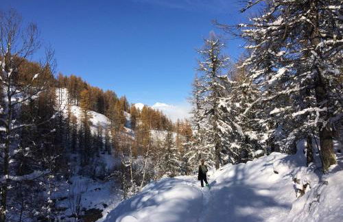 MaisonNel Gîte - Foto 23