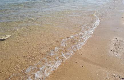 Iris Sabunike - Photo 57