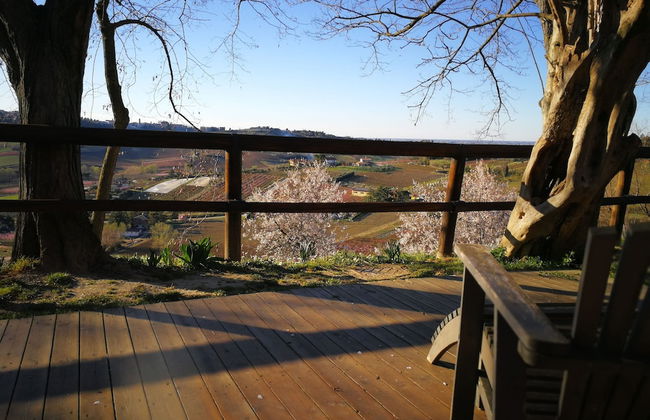 Alloggio al San Girolamo - Foto 40