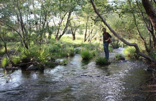 Moinho da Fadagosa - Foto 17