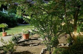 Altera Vita - Foto 77