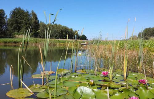 Domek Drewniany - Foto 35