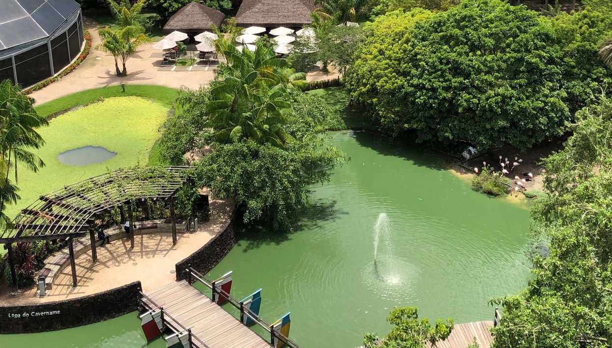 Belen Amazonian Parks Tour - Foto 1