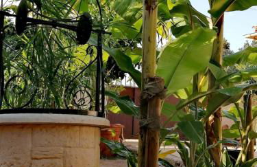 Olive apartment - Foto 27