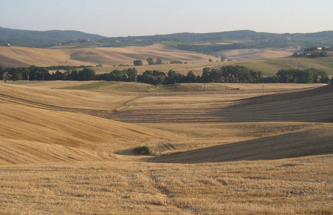 Agriturismo San Giorgio - Foto 44