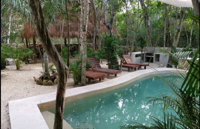 Jungle Penthouse - Photo 16