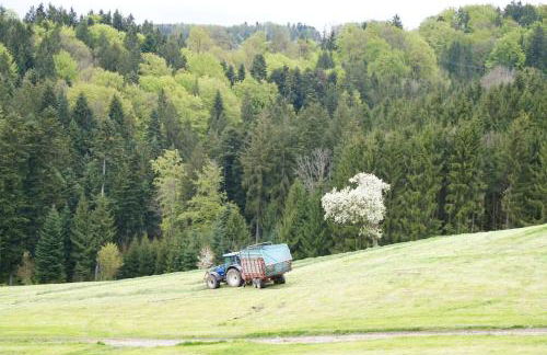 Bushof - Leben auf dem Land - Foto 33