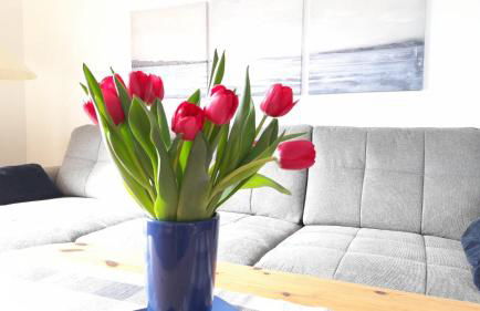 Strandvilla Marius - Foto 46