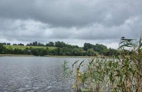 Cichy Brzeg Mazurski - Foto 34