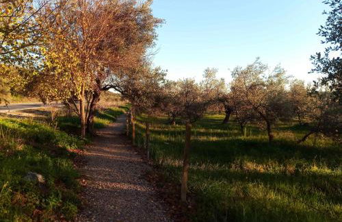 Casa Rural El Palomar - Foto 40