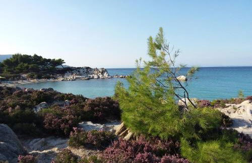 Haus Despina - Foto 23