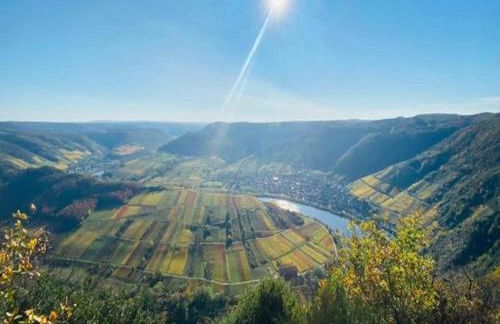gemütliche Ferienwohnung in Kaifenheim - Foto 32