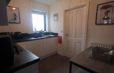 Rise at the Belfast Murals - Photo 7