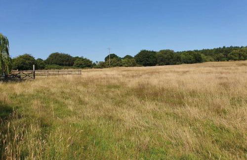 The Piggery - Corfe Mullen - Photo 16