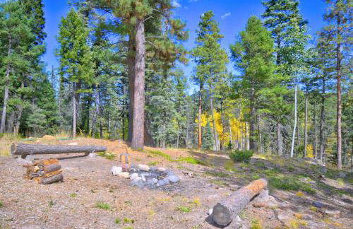 Serene 70s Retreat Near San Antonio Hot Springs - Foto 13