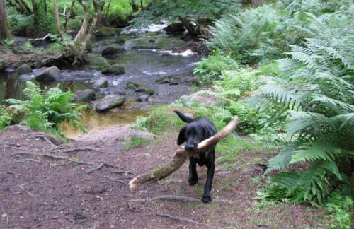 Apartment 20 Inchmarlo - Foto 26