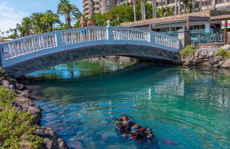 Anfi del Mar 2 - Foto 38