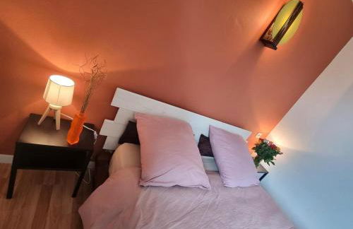 Gîte spacieux avec jardin et terrasse à Saint-Galmier - FR-1-496-300 - Foto 17