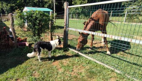 Apartamentos Casa Alvarina - Luarca - Foto 3