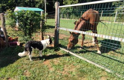 Apartamentos Casa Alvarina - Luarca - Foto 15