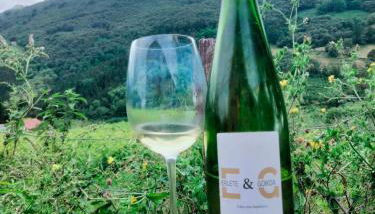 Agroturismo Erlete Goikoa -ESTAMOS EN EL CAMINO DE SANTIAGO -WE ARE ON THE CAMINO DE SANTIAGO- SENDERISMO-RUTAS Y BICICLETA - Foto 5