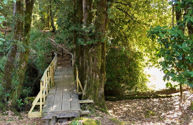 Cabin Chalet Type in Pucon - Photo 13