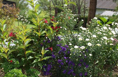 Ferienwohnung Zauberhaft - Foto 17