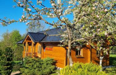 Apartments Zafran - Foto 1