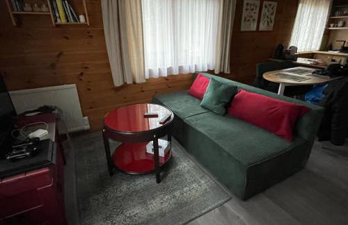 Domek nad jeziorem Guzowy Piec - Foto 1