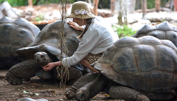 Take in the beauty of Zanzibar's wildlife