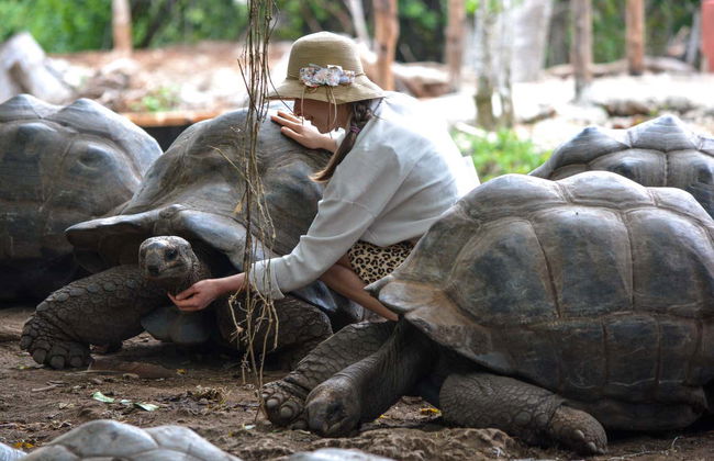 Stone Town, Prison Island & Spice Farms Tour - Foto 2