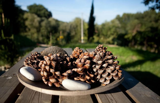 Agriturismo Casa dell'Orto - Foto 39