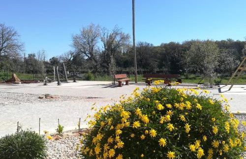 Villa Rominha Alvaiázere - Casa do Canteiro - Foto 8