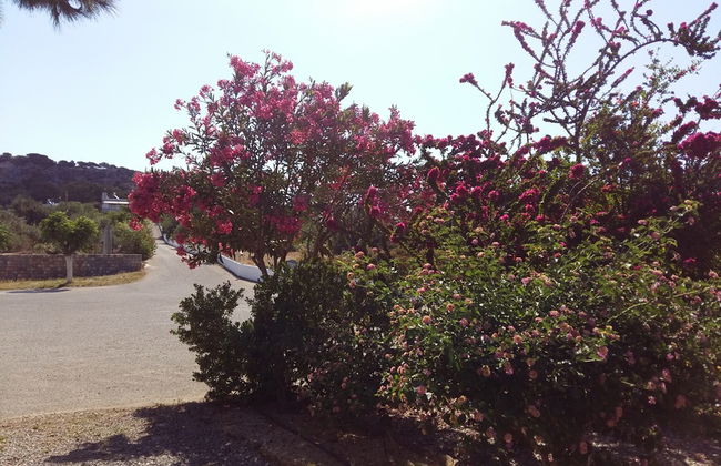 George Beach Studios - Foto 31