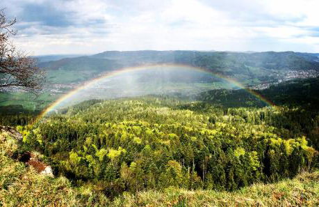 Alb Appartement - gemütliche Wohnung mit Balkon - Foto 30