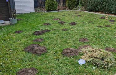 Ferienhaus an der Brunnenaue 4 Sterne, E-Ladestation am Haus, Wlan, Netflix, Garten - Foto 21