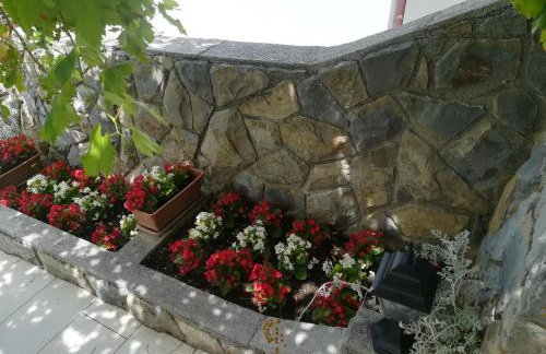 Apartmani Ivić Paka Rab - Photo 40