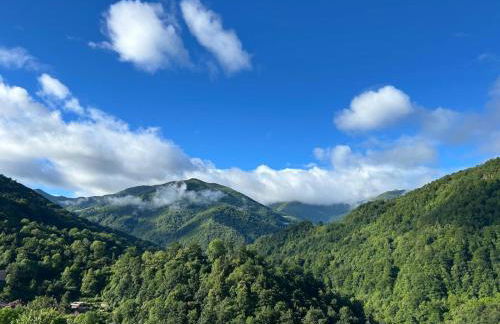 El Collau - Apartamentos Rurales - Foto 20