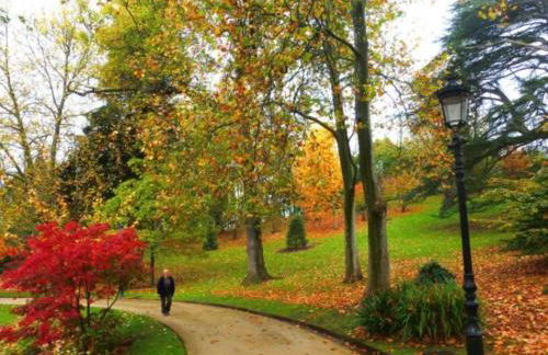 BIG 4 ROOMS in a Centric Home Parking Included - Foto 77