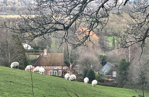 The Barn at Logmore Farm - Foto 4