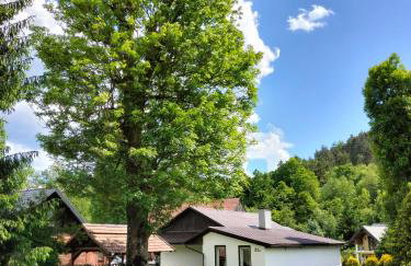 Agroturystyka U Anny - Foto 18