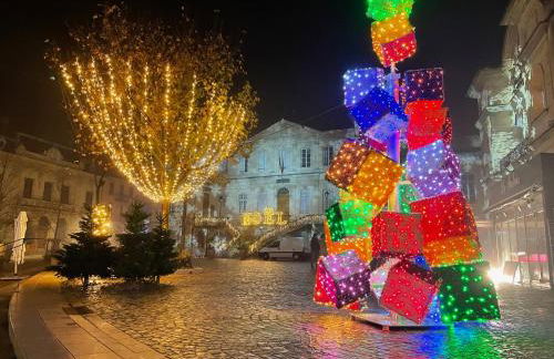 Le Petit Delphia - Photo 51