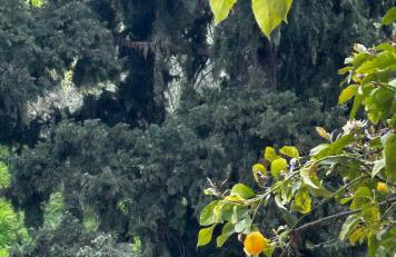 SokratesVilla - Foto 34