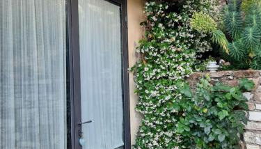 Agriturismo Fattoio alle Ripe - Foto 5