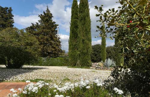 Agriturismo La Scarpaia - Foto 29