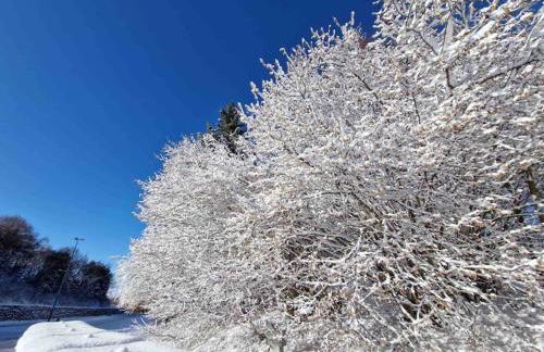 Ristrutturato in Nevegal a 20 minuti da parcheggio per Cortina - Foto 22