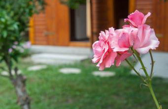 Family Holiday Apartment with garden & BBQ - Foto 11