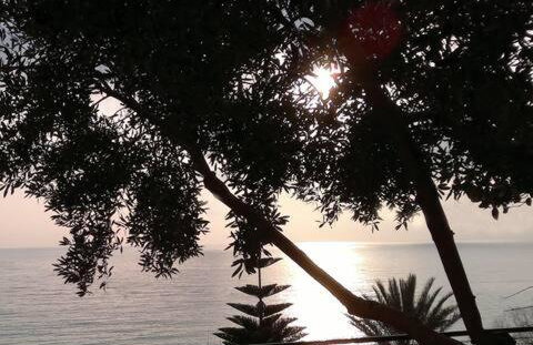 LEMONELIA, one big,4-5 people and one small apartment ,2-3 people - Foto 17