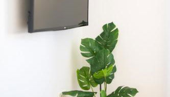 Magec Santa Cruz - Foto 2